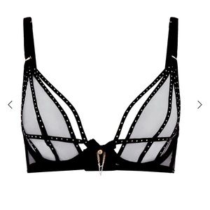 Agent Provocateur Ruby Set 34D and Panty in Size 2 Like New